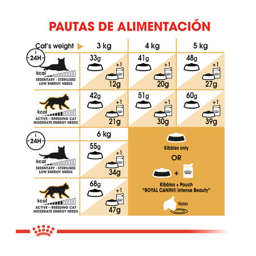 Royal Canin Adult Siamese pienso para gatos thumbnail