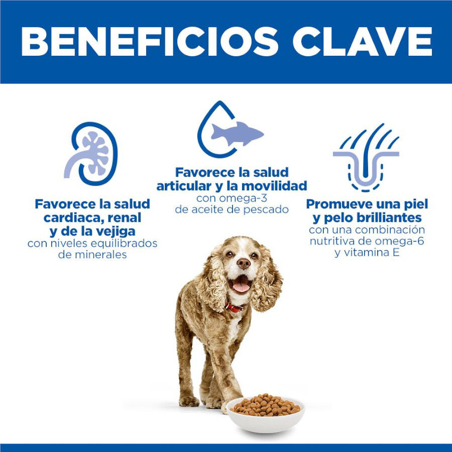 1.5 kg Hill's Science Plan Senior 11+ Small y Mini pollo pienso para perros, , large Imagen numero 5