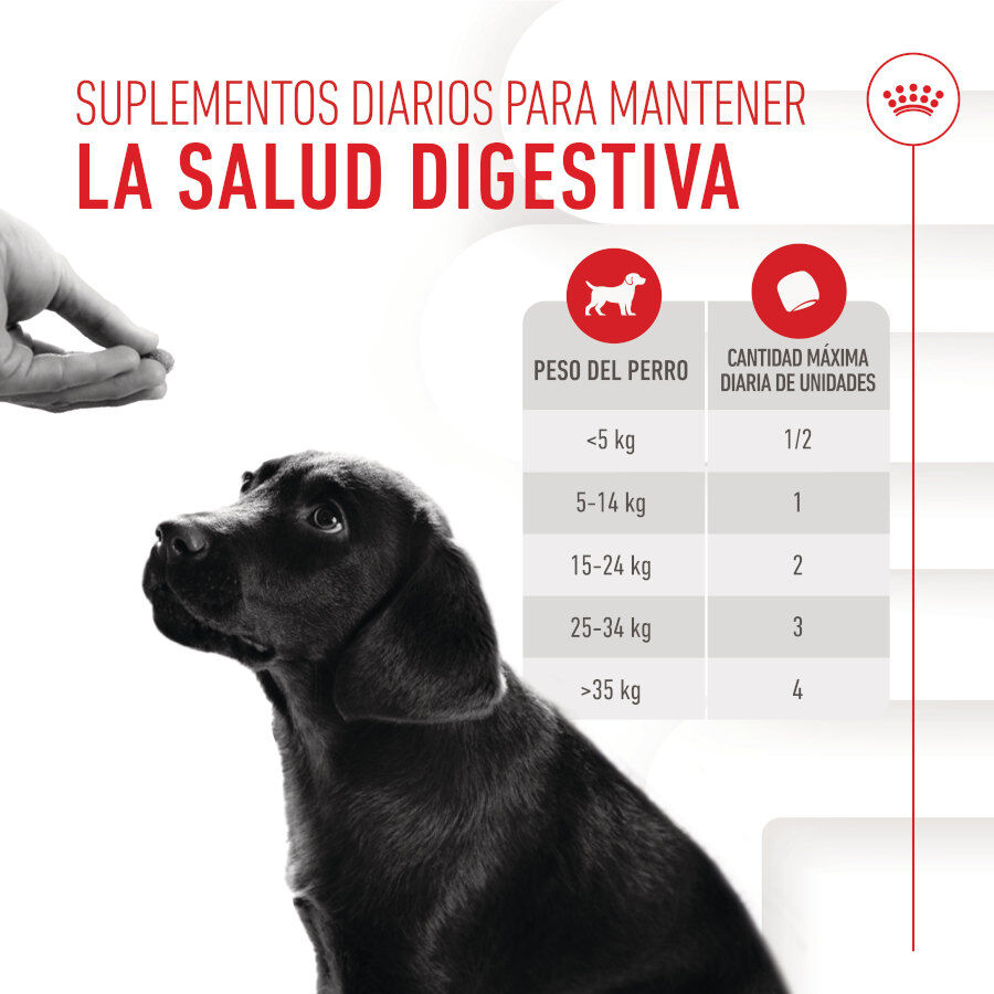100 g Royal Canin Immunity & Digestion Chews Puppy Suplemento nutricional para perros, , large Imagen numero 7