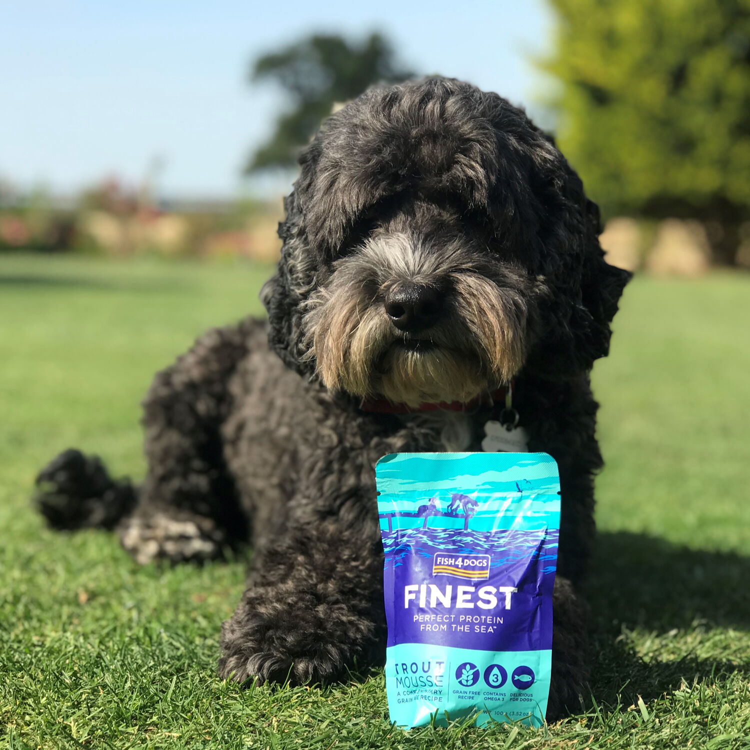 Fish4Dogs Mousse Trucha para perros thumbnail