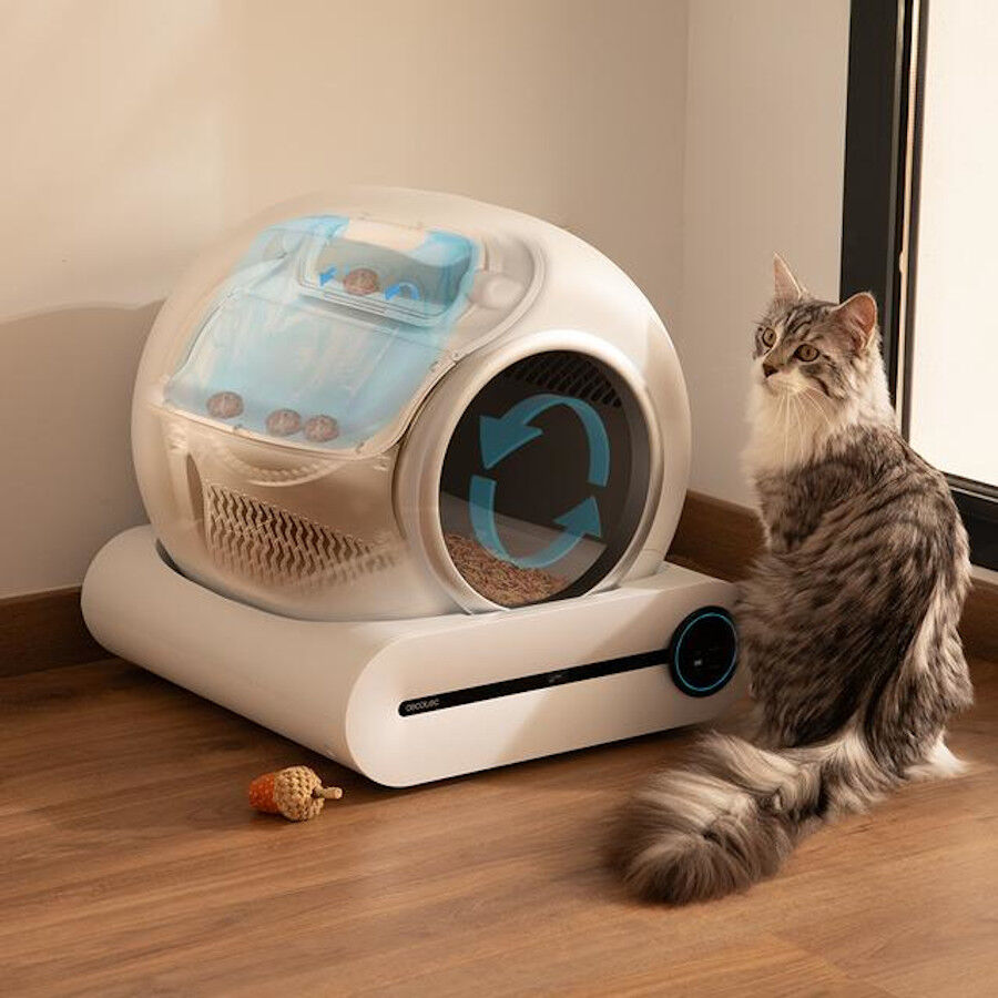 Cecotec Pumba 8000 CleanKitty Smart Arenero Autolimpiable para gatos, , large Imagen numero 4