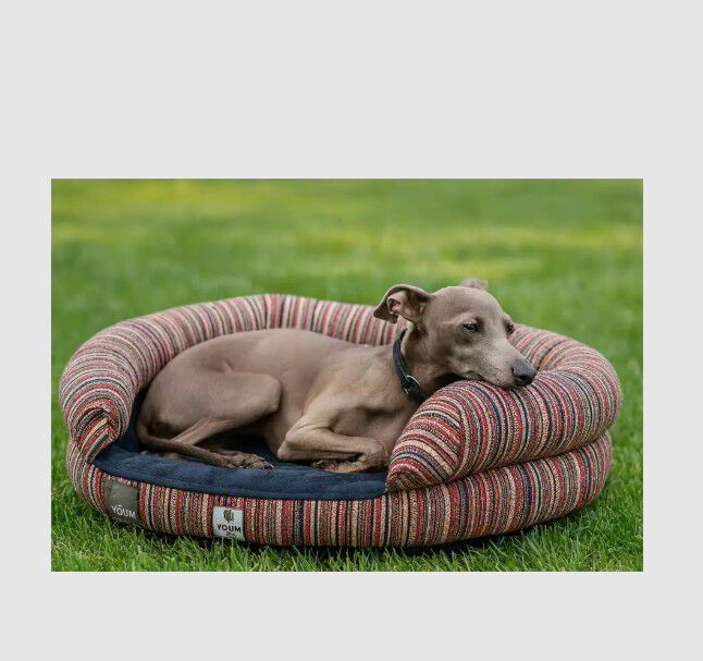 Yagu Cama Relax Vicoel&aacute;stico Indiana para perros, , large Imagen numero 3