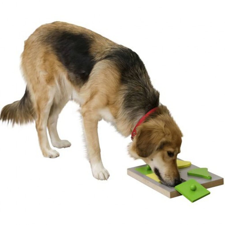 Juguete de inteligencia Cake para perros color Gris y Verde, , large image number null