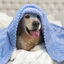 Nobleza Manta Suave de Felpa para Perros, Gatos y Otras Mascotas. Lavable. Color Azul 120*100cm, , large indicador imagen numero 4