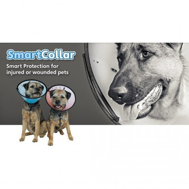 Collar Cono de recuperación Smart para perros, , large image number null