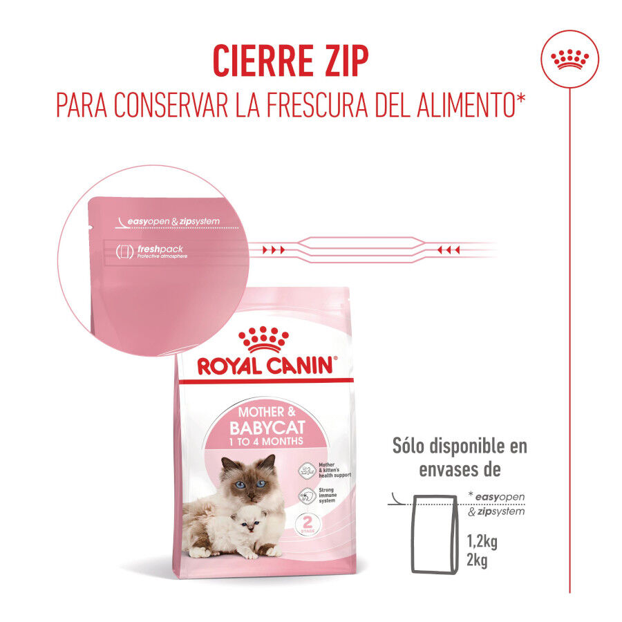 Royal Canin Mother &amp; Babycat pienso para gatos thumbnail