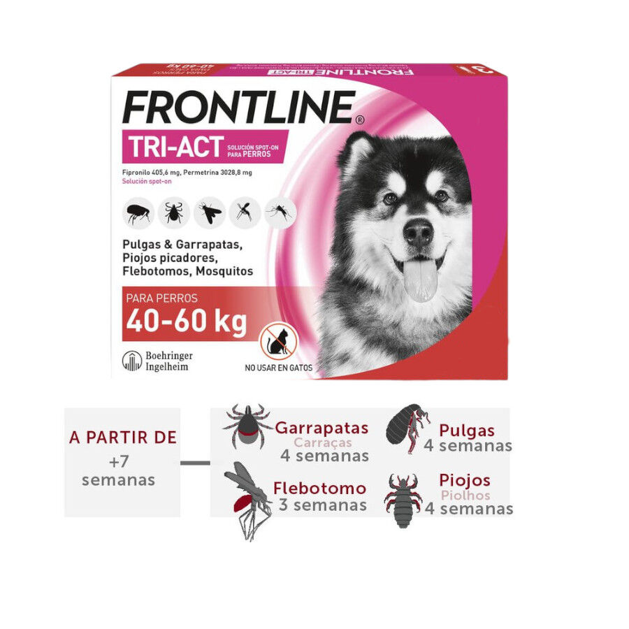 Frontline Tri-Act Pipetas Antiparasitarias para perros 40 - 60 kg, , large Imagen numero 1
