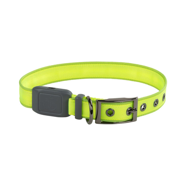 Nite Ize NiteDog Collar Led Recargable Verde para perros thumbnail