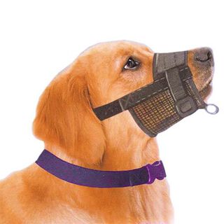 Ibañez bozal guiador Easy Walk para perro
