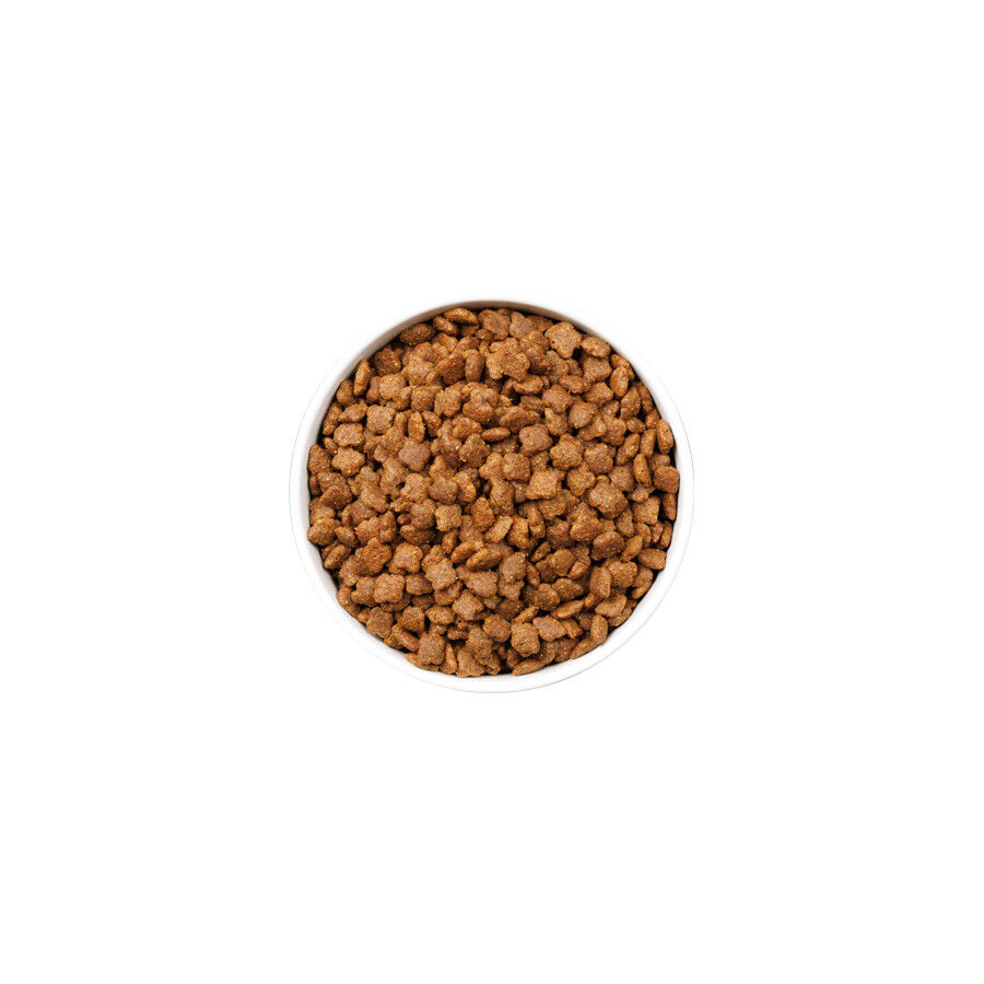 Ownat Ultra Mature Pienso Pollo y Pavo para gatos, , large Imagen numero 2