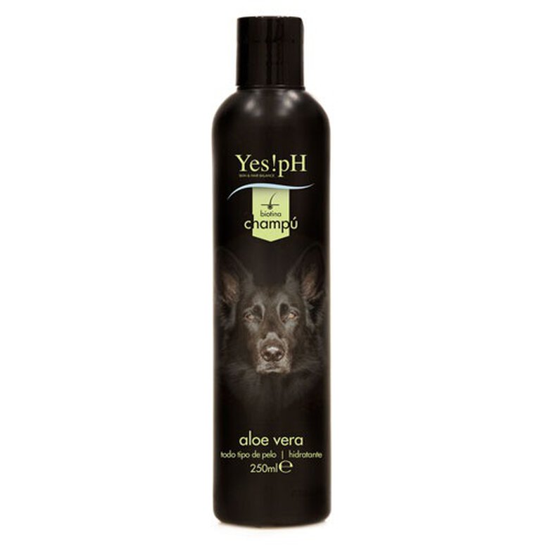 Yes!pH aloe vera champú para perros image number null