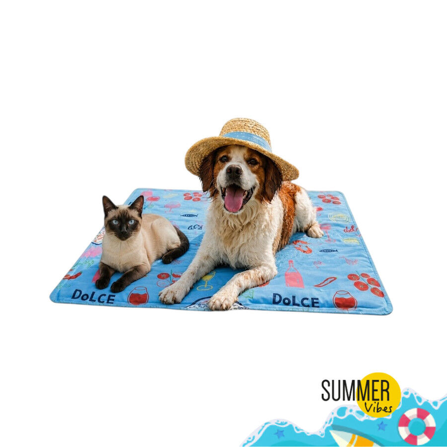 Summer Vibes Manta Refrescante Dolce Vita para perros y gatos, , large Imagen numero 7
