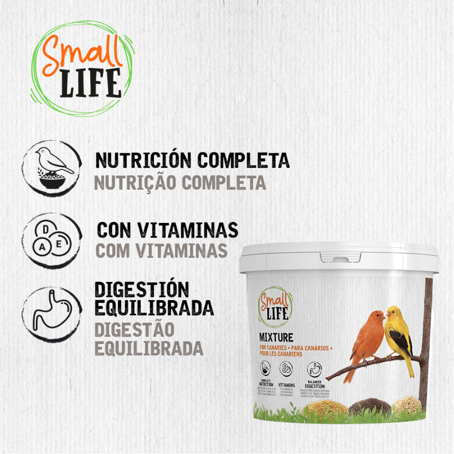 3.7 kg Small Life Mixtura Cubos para canarios, , large Imagen numero 4