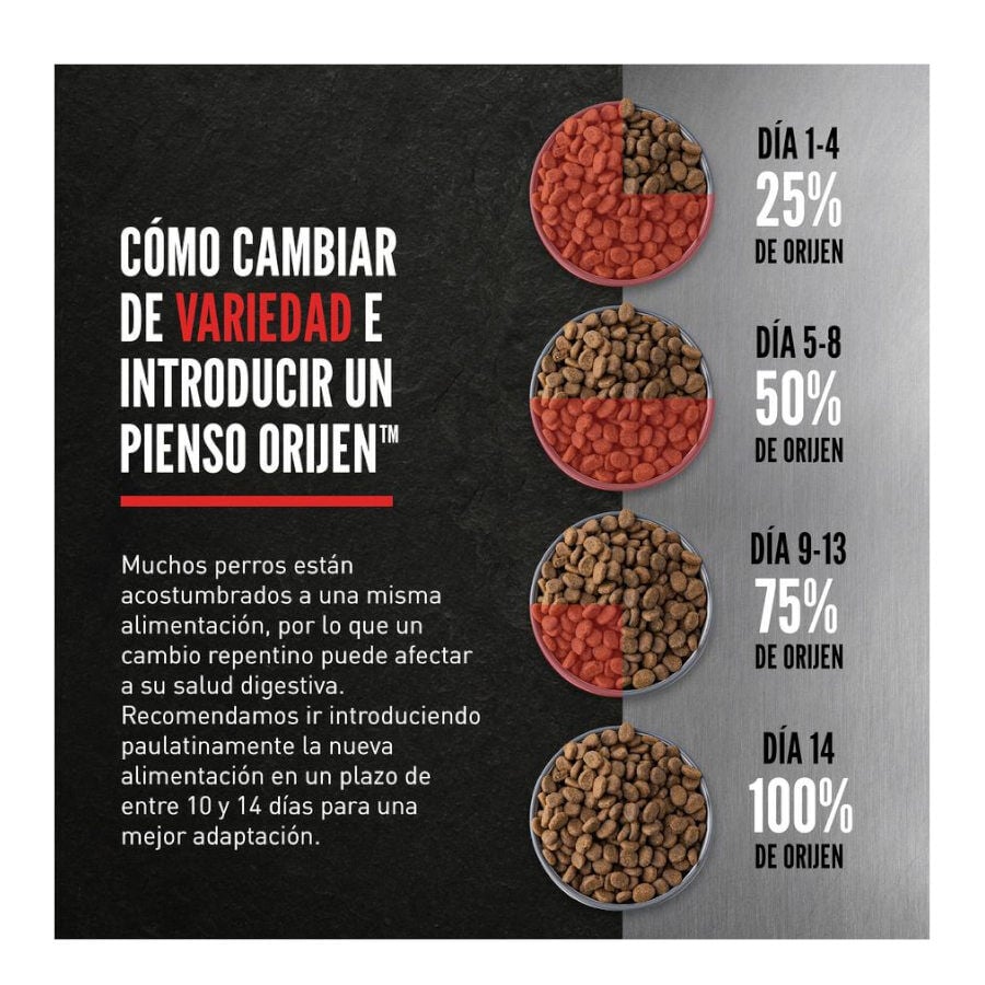 Orijen Puppy pienso para perros thumbnail