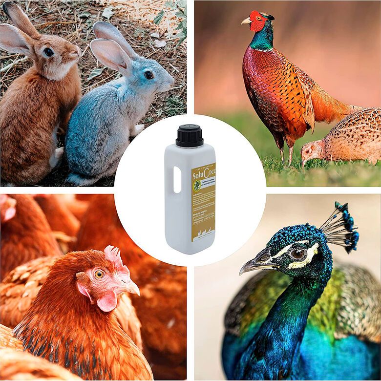 Finca casarejo solucocc prevención de coccidios en gallinas, conejos y faisanes thumbnail