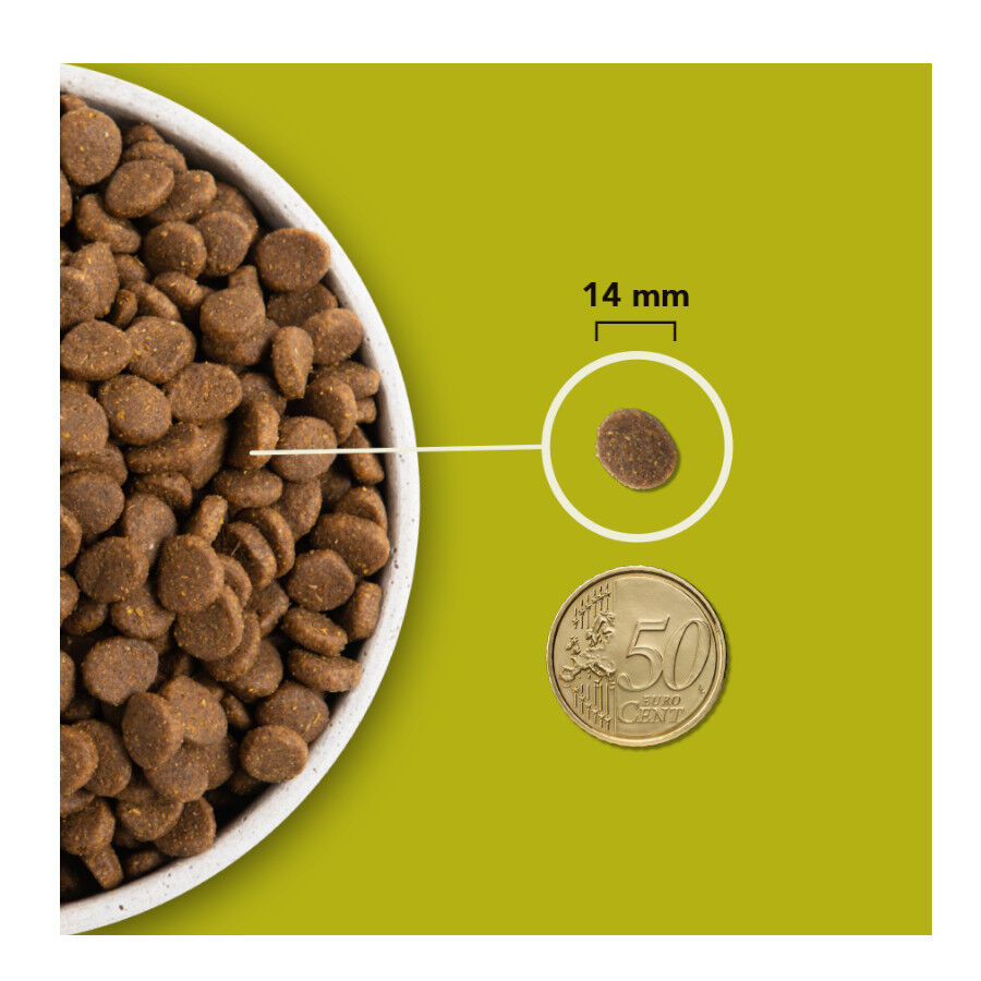 Acana HP Grasslands pienso para perros thumbnail