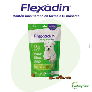 Vetoquinol Flexadin Young Mini Condroprotector para perros