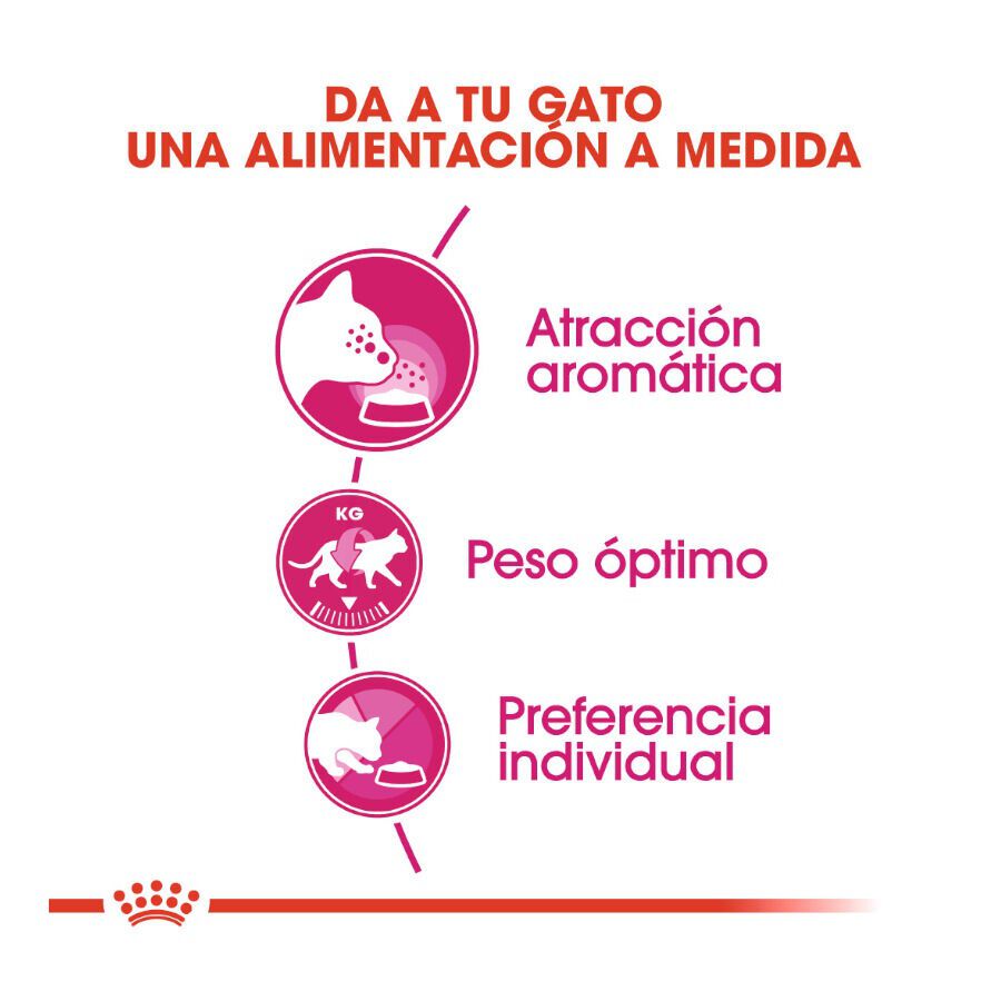 Royal Canin Adult Exigent Aroma pienso para gatos thumbnail