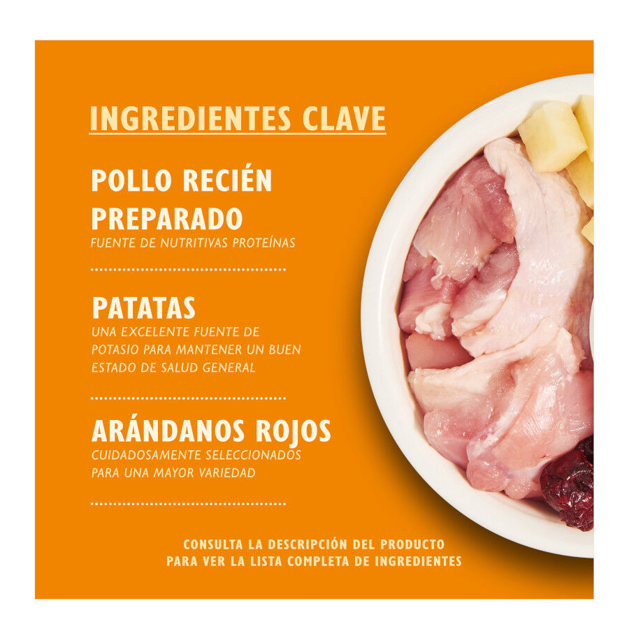 Lily&#039;s Kitchen Grain Free Pollo pienso para gatos thumbnail