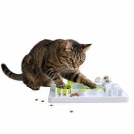 All For Paws Interactives Juguete Puzzle Pescado para gatos