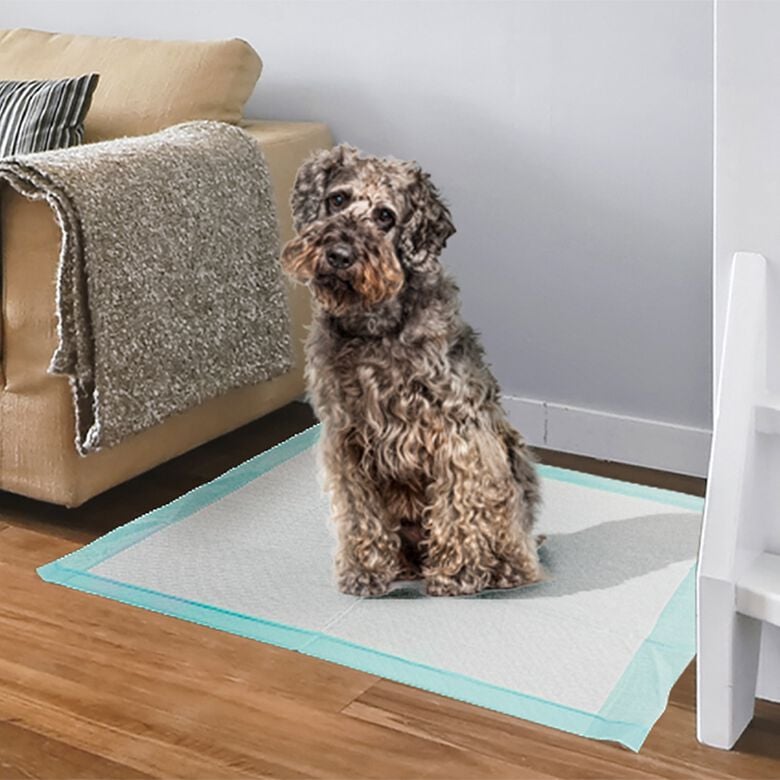 Mobiclinic Empapadores Desechables Ultra absorbente Para Cachorros thumbnail