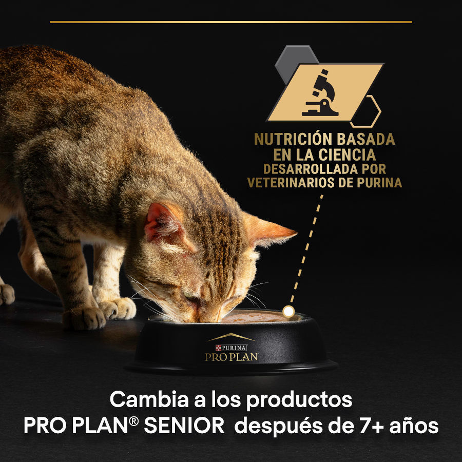 Pro Plan Adult Sterilised Maintenance Pollo y Buey en Salsa sobre para gatos thumbnail
