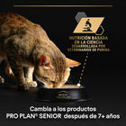 Pro Plan Adult Sterilised Maintenance Pollo y Buey en Salsa sobre para gatos – Multipack 10, , large image number null