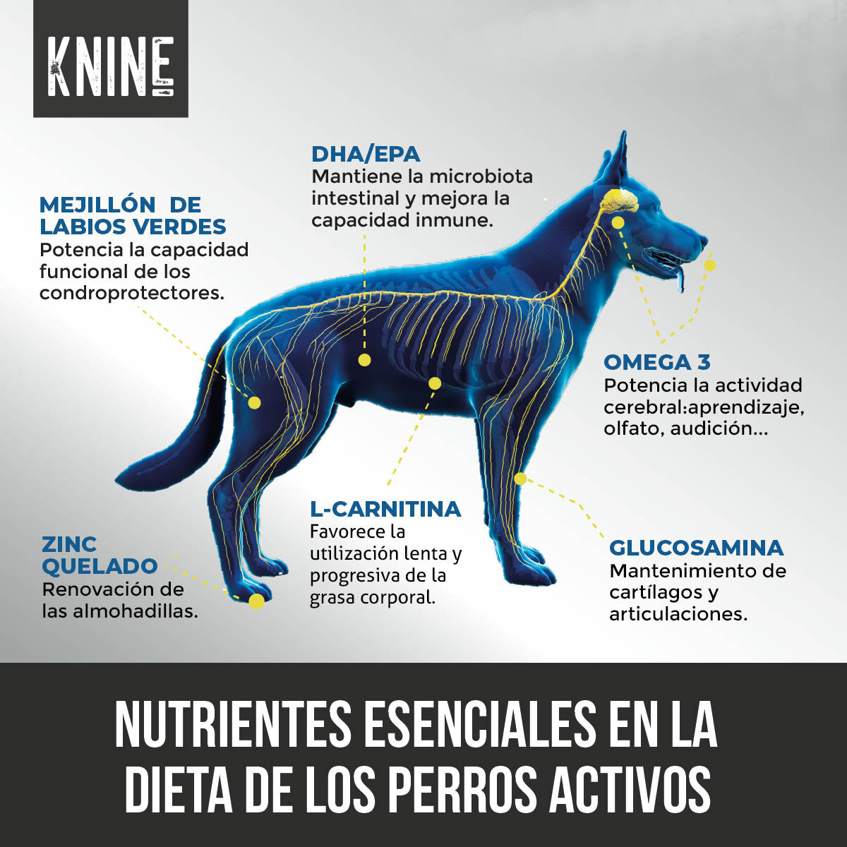 Comida para perros KNINE Power Dog, pavo/conejo, grain free 12 kg., , large Imagen numero 2