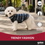 Gotoo Jersey Sherpa Estampado Retro para perros, , large indicador imagen numero 6