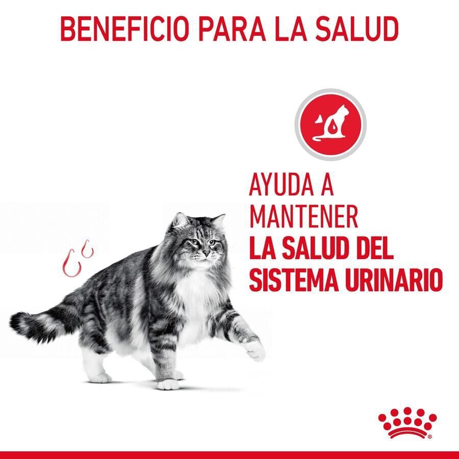 Royal Canin Urinary pienso para gatos thumbnail