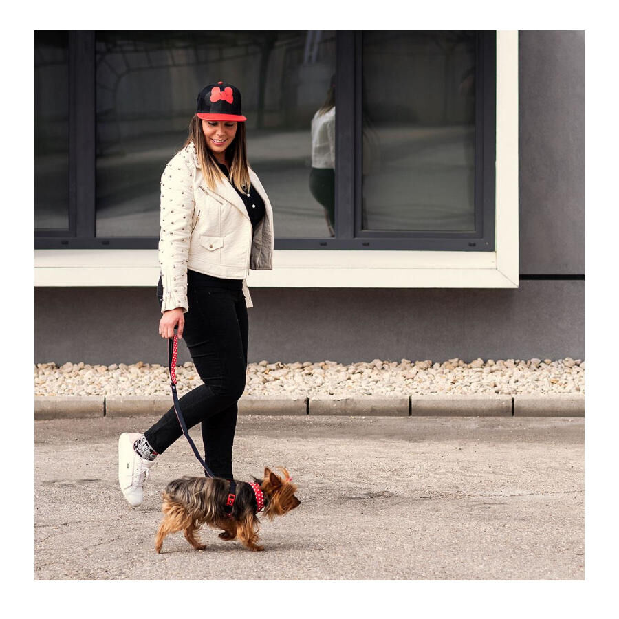 Disney Minnie Mouse Gorra con Visera Plana para humanos thumbnail