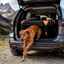 Outech X-perience Transportin Tela Plegable para perros, , large indicador imagen numero 6