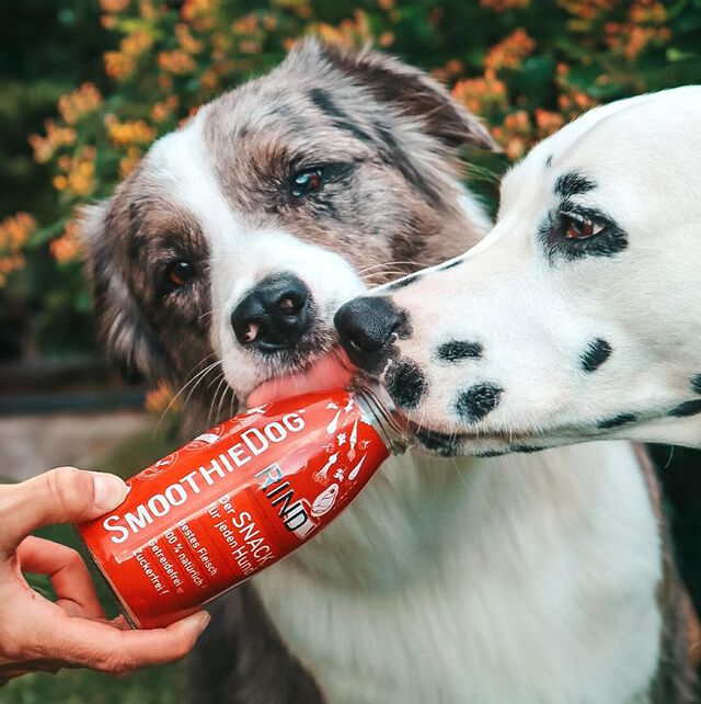 Batidos SmoothieDog ternera para perro, , large Imagen numero 2