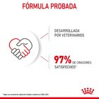 Royal Canin Puppy Maxi pienso para perros, , large image number null