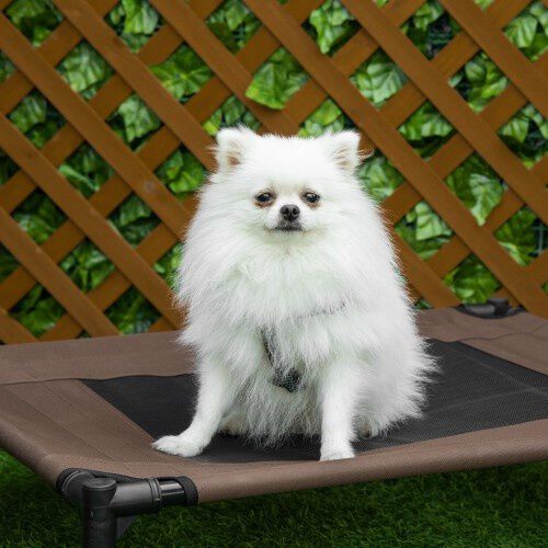PawHut cama elevada marr&oacute;n para perros, , large Imagen numero 5