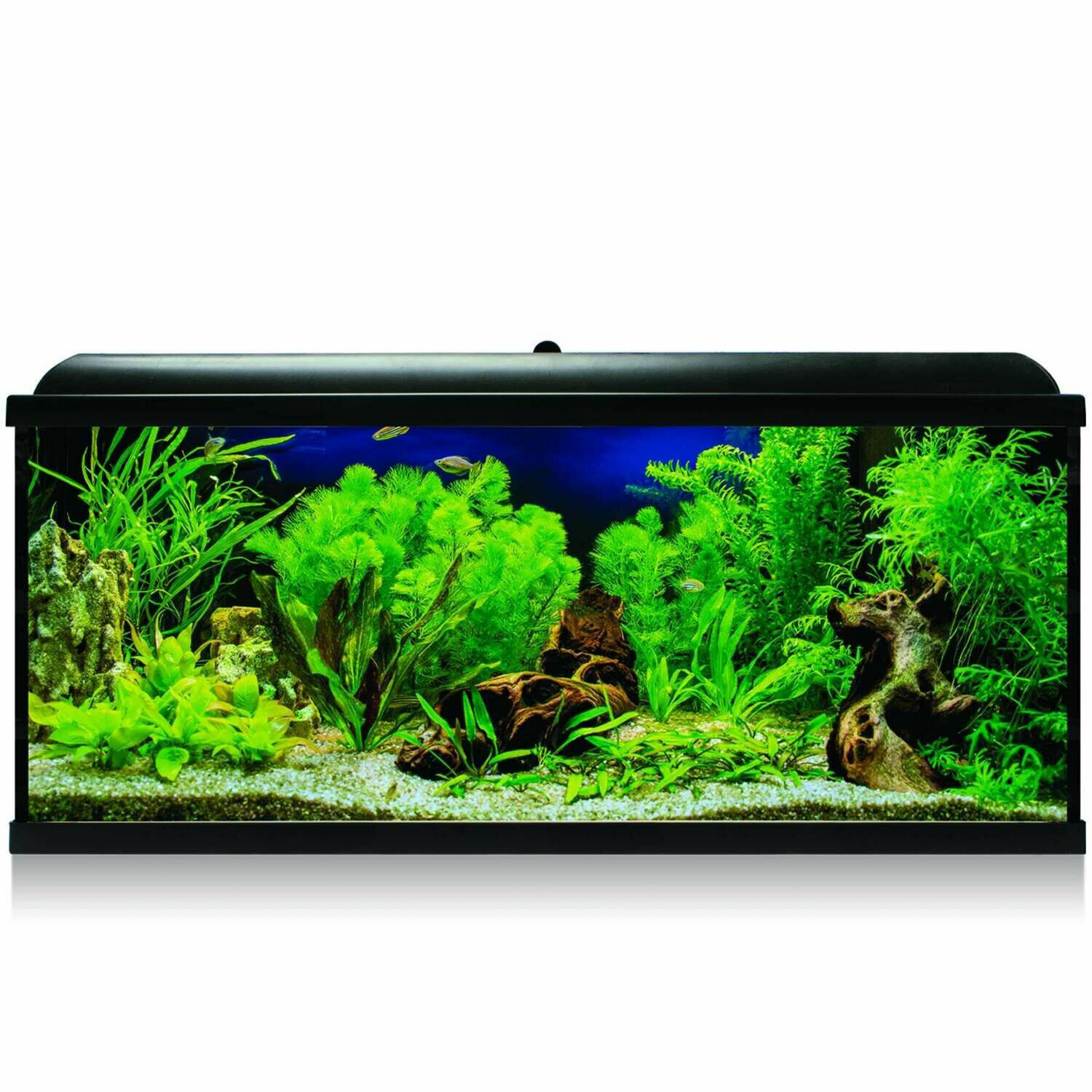 ICA Kit Aqua LED Pro 130 Negro con filtro interior para acuarios