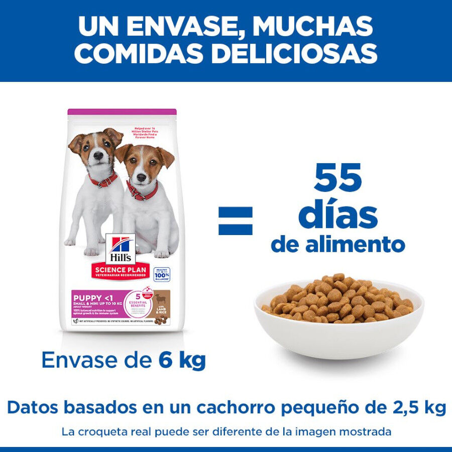 6 kg Hill's Science Plan Puppy Small y mini Cordero y arroz para perros, , large Imagen numero 6