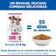 6 kg Hill's Science Plan Puppy Small y mini Cordero y arroz para perros, , large indicador imagen numero 6