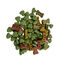100 g Wonder Christmas Galletas Pequeñas para perros, , large indicador imagen numero 1