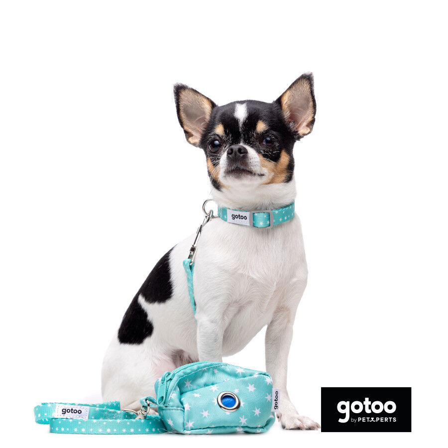 Gotoo Set Correa y Collar estampado con estrellas verde para perros, , large Imagen numero 4
