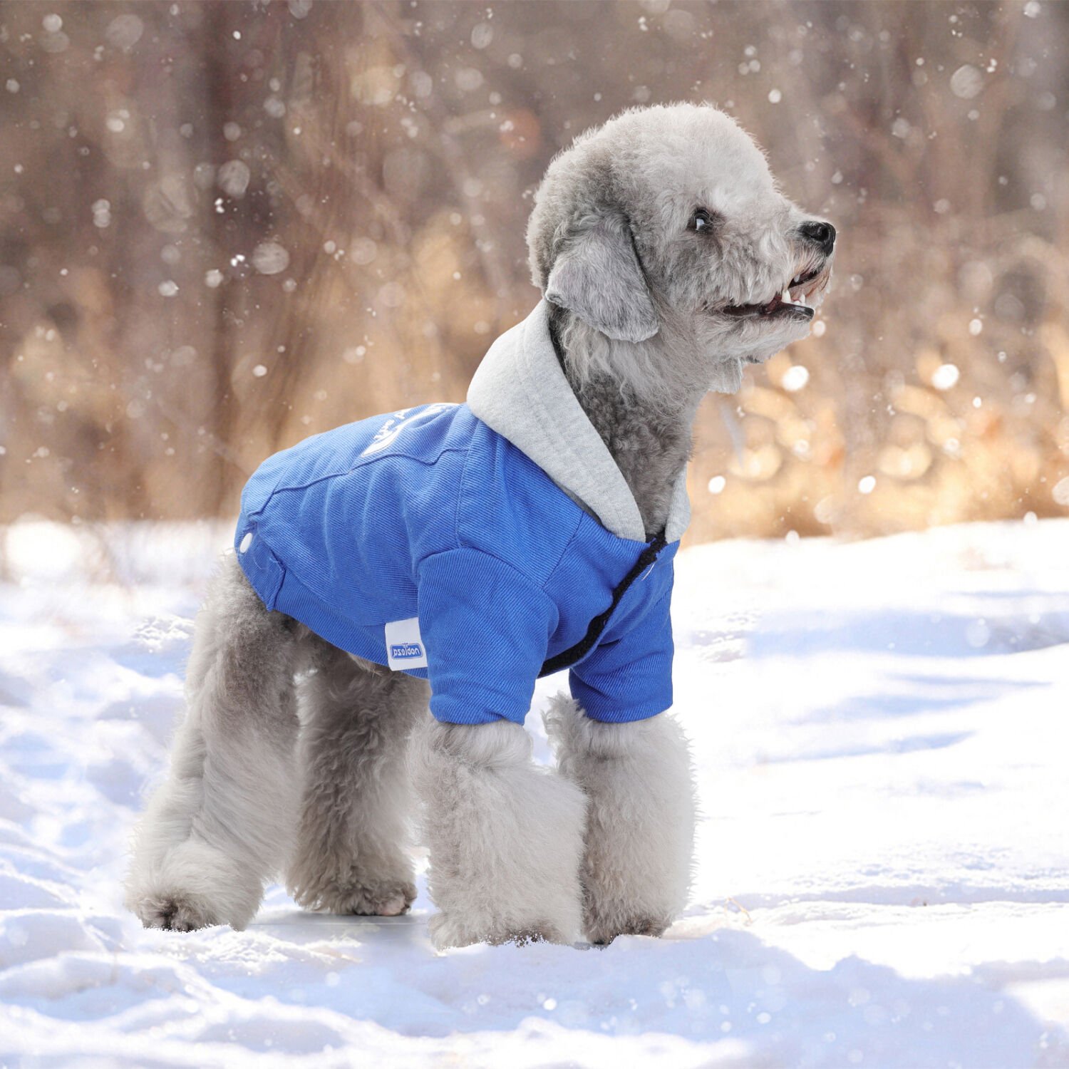 Nobleza Sudadera con Capucha C&aacute;lido para Perros Peque&ntilde;os,Perro Gato Ropa de Invierno Cachorro Abrigo Chaqueta,Azul, , large Imagen numero 5