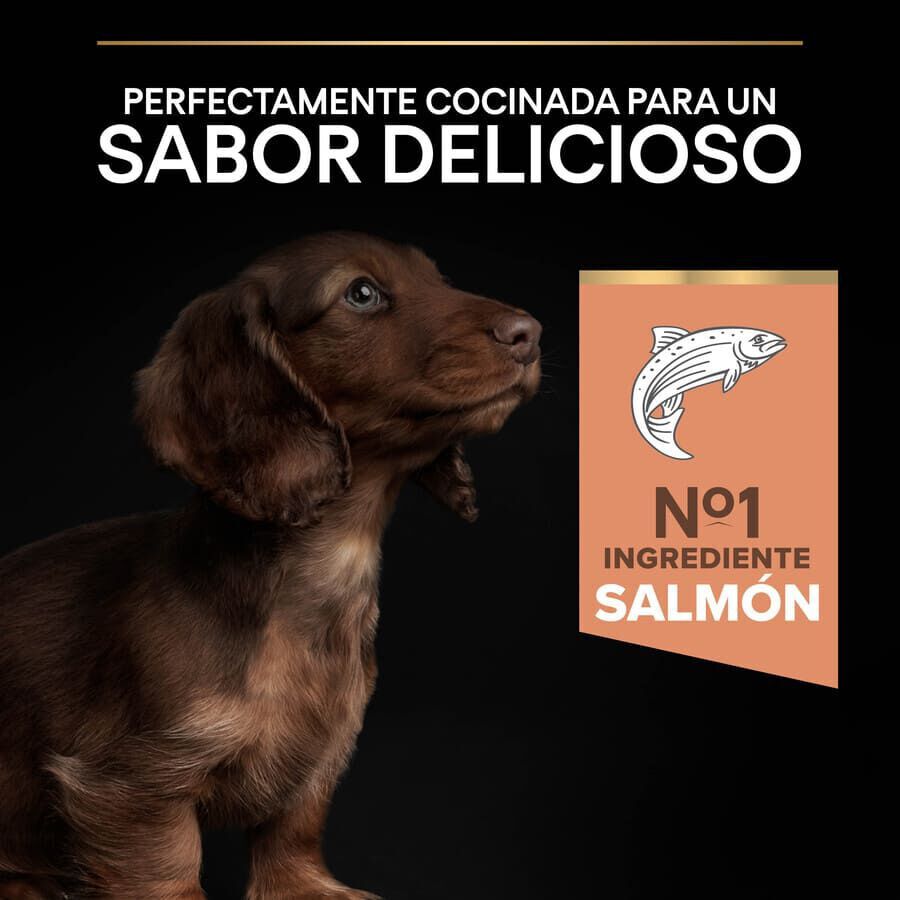Pro Plan Puppy Small y Mini Salmón pienso para Perros Piel thumbnail