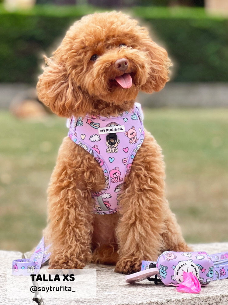 Arn&eacute;s Ajustable Teddy Bears, , large Imagen numero 3