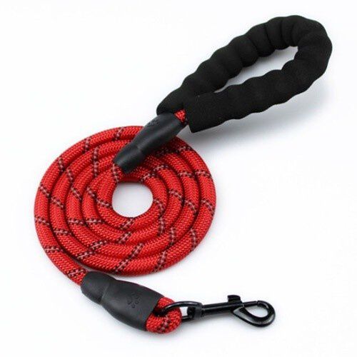 Correa MyPetCare para perro color Rojo, , large Imagen numero 1