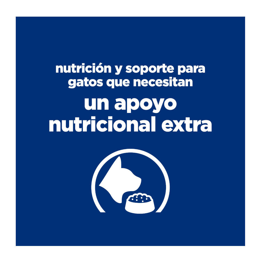 Hill&#039;s Prescription Diet Feline Estofado con Pollo y Verduras para Gatos Adultos thumbnail