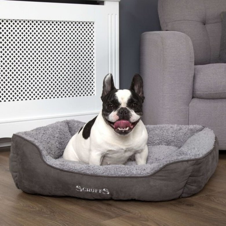 Cama De Mascota color Gris, , large image number null