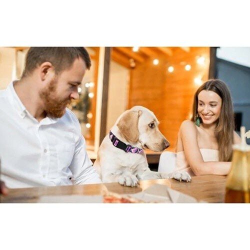 Collar étnico para perro color Morado thumbnail