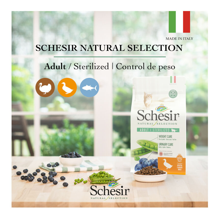 1.4 kg Schesir Natural Selection Sterilized At&uacute;n pienso para gatos, , large Imagen numero 4