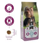 Criadores Razas Yorkshire Terrier pienso para perros image number null