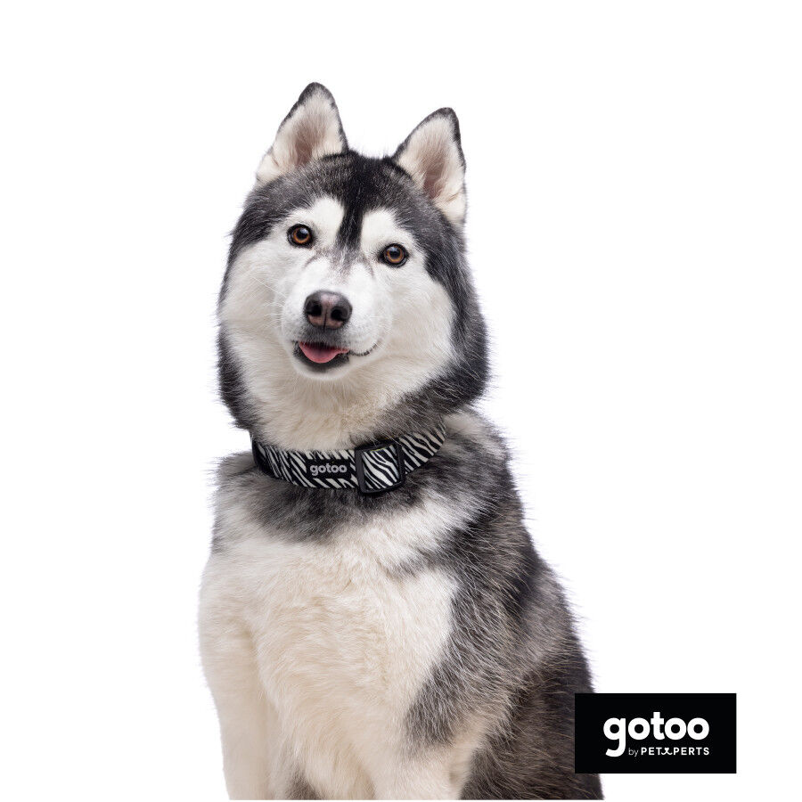 Gotoo Collar estampado zebra para perros, , large Imagen numero 3